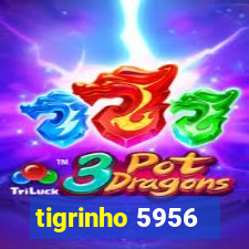 tigrinho 5956